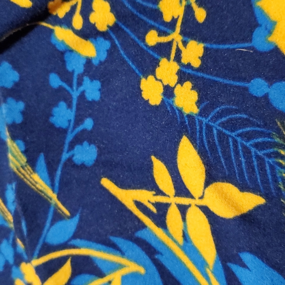 Lularoe TC leggings